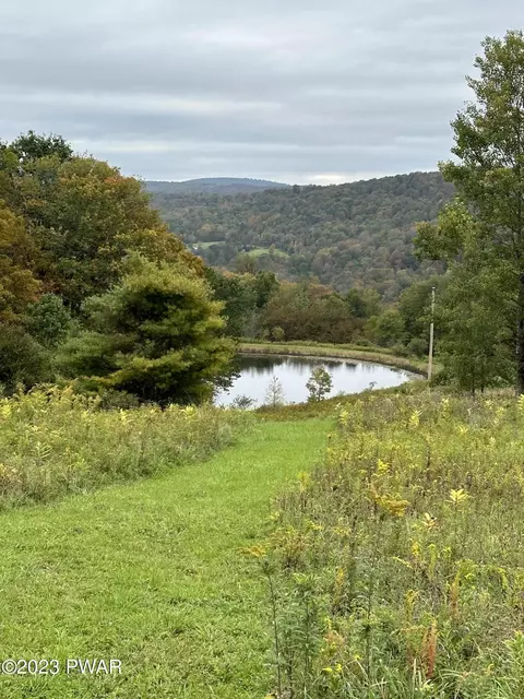 120 Hellmers Hill Rd, Equinunk, PA 18417
