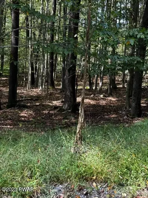 lot829 View Dr, Greentown, PA 18426