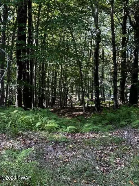 lot830 View Dr, Greentown, PA 18426