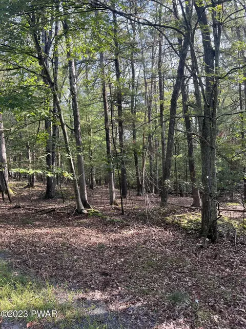 693 Clubhouse Dr, Lackawaxen, PA 18428