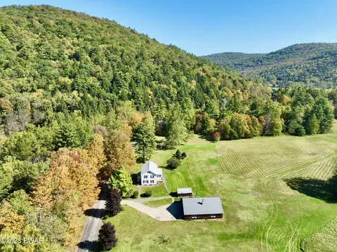 1396 Equinunk Creek Rd, Equinunk, PA 18417