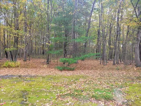Lot 547 Sugar, Tafton, PA 18464