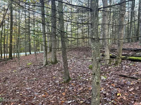 lot3 Cedar Ridge Rd, Hawley, PA 18428