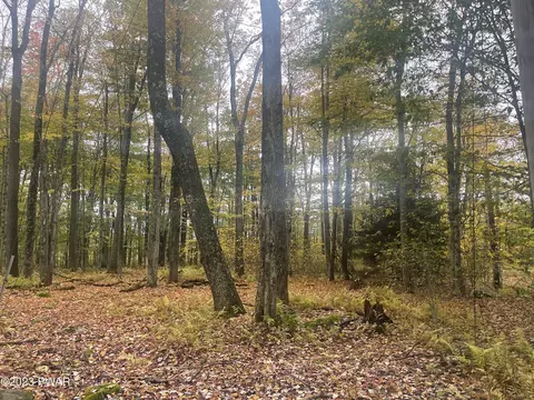 2 75 Acres Paradise Ln, Greentown, PA 18426