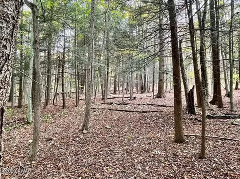 Turner Court, Pleasant Mount, PA 18453