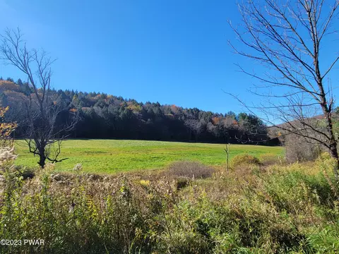 Fox Farm Hill Road, Susquehanna, PA 18847