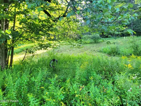 Miller Pond Road, Pleasant Mount, PA 18453