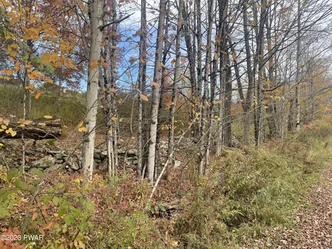 Eighmy Road, Honesdale, PA 18431