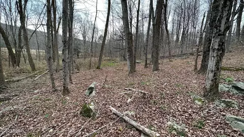 Spring Hill Road, Moscow, PA 18444