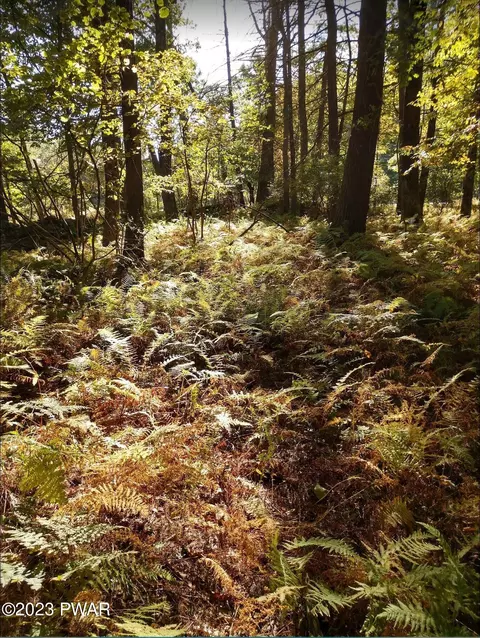 lot2 Evergreen Ln, Narrowsburg, NY 12764