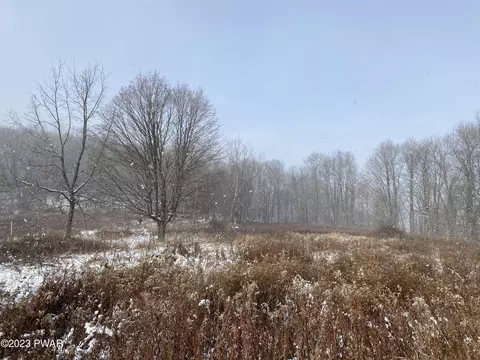 Scott Center Road, Starrucca, PA 18462
