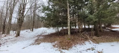 Elk Forest Drive, Waymart, PA 18472