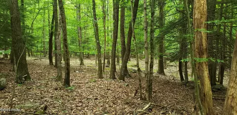 lot12 Cedar Ct, Lakeville, PA 18438