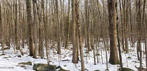 lot13 Cedar Ct, Lakeville, PA 18438