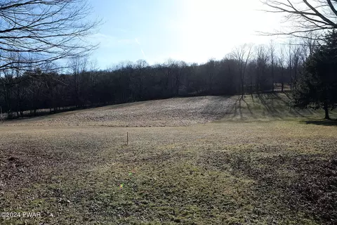 1106 Pine Mill Lot B Rd, Equinunk, PA 18417