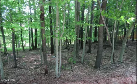 3006 Buck Hill Rd, Greentown, PA 18426