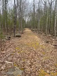 lot15 State Route 97, Narrowsburg, NY 12764