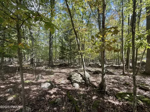 Paper Birch N, Tafton, PA 18464