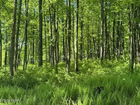 lot17 Woodlyn Acres Rd, Hawley, PA 18428