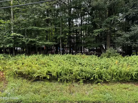 902 Goose Pond Rd, Lake Ariel, PA 18436