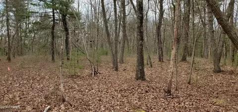 lot8 Laurel Dr, Shohola, PA 18458