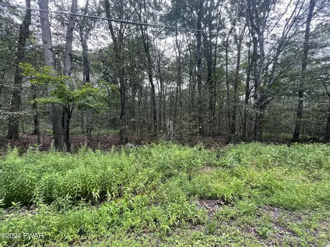 169 Lakewood Dr, Canadensis, PA 18325
