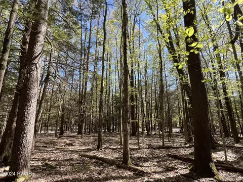 Orion Way, Lake Ariel, PA 18436