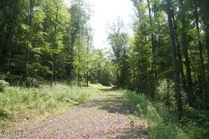 Boyds Mills Road, Damascus, PA 18405