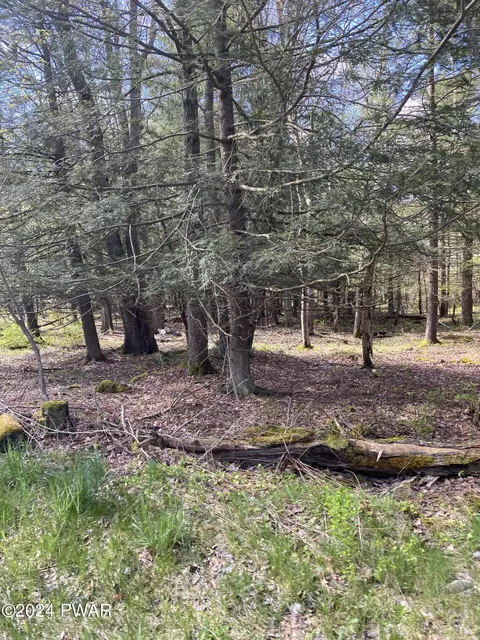 lot93 Pine Grove Rd, Newfoundland, PA 18445
