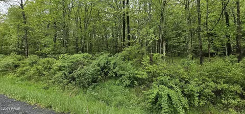 lot32 7 St Rt 17b, Cochecton, NY 12726