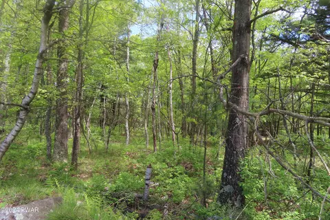 lot45 06 Heaters Hill Rd, Matamoras, PA 18336
