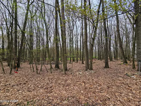 lot216 Rr Big Bear Dr, Greentown, PA 18426