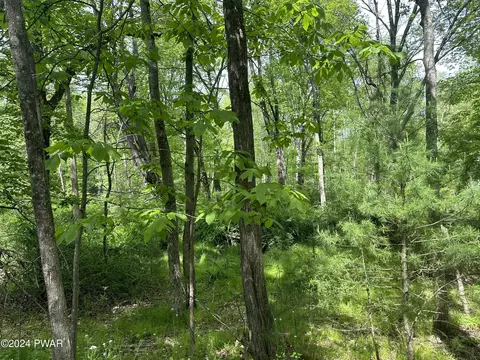 Cummins Hill, Milford, PA 18337
