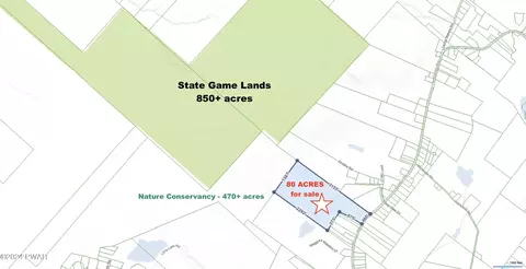 Cortez Road, Jefferson Township, PA 18436