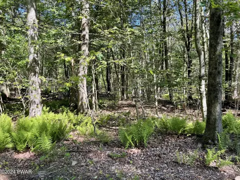 Huckleberry Road, Newfoundland, PA 18445