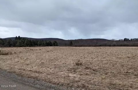 Padwa Road, Pleasant Mount, PA 18453