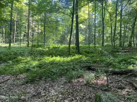 State Route 307 & Donny Drive, Roaring Brook Township, PA 18444