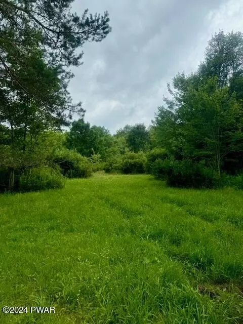 Pine Mill Road, Equinunk, PA 18417