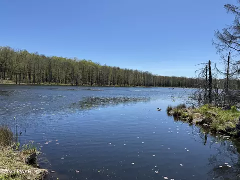 Duck Harbor Road, Equinunk, PA 18417