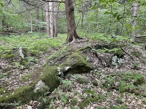 0 Rotten Rd, Equinunk, PA 18417