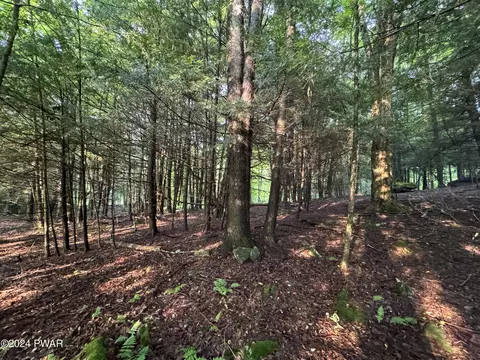 Baxter Road, Pleasant Mount, PA 18453