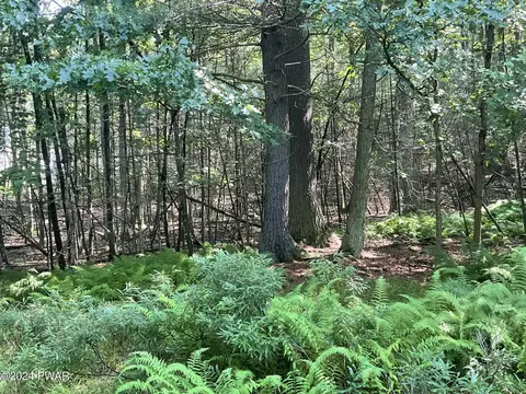 Creek Road, Hawley, PA 18428