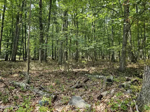 lot20 Cove Point Cir, Lakeville, PA 18438