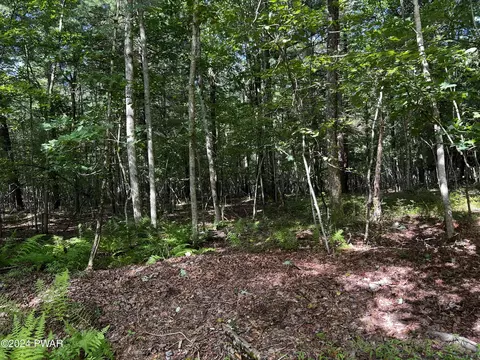 Maple Nut Road, Blooming Grove, PA 18428