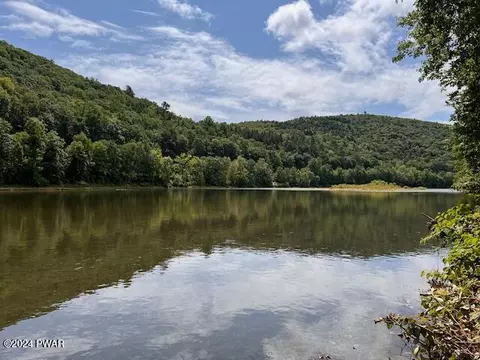 River Road, Equinunk, PA 18417