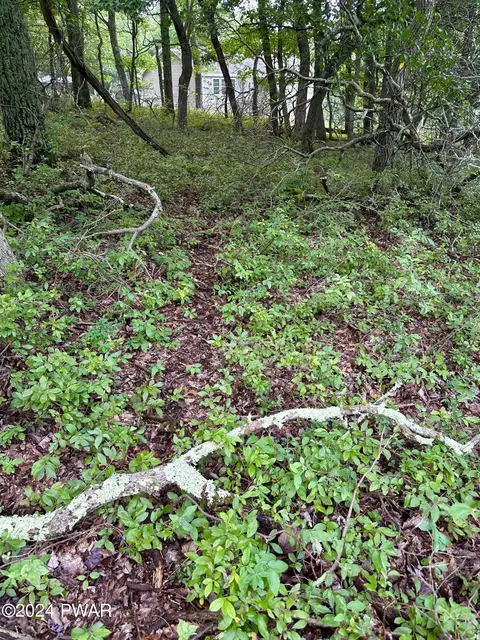 Primrose Lane, Milford, PA 18337