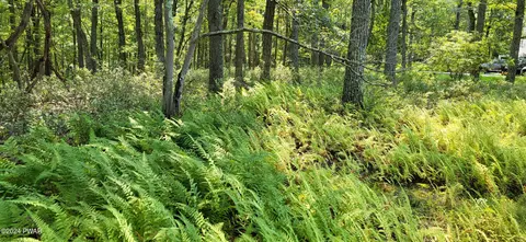 lot252 Lakeview Ct, Milford, PA 18337