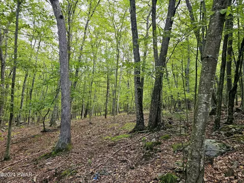 lot S 16-32 Oneida Rd, Shohola, PA 18458