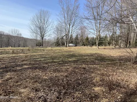 lot701 Black Bear Rd, Lake Ariel, PA 18436