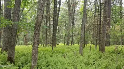 lot99 Fawn Lake Dr, Hawley, PA 18428